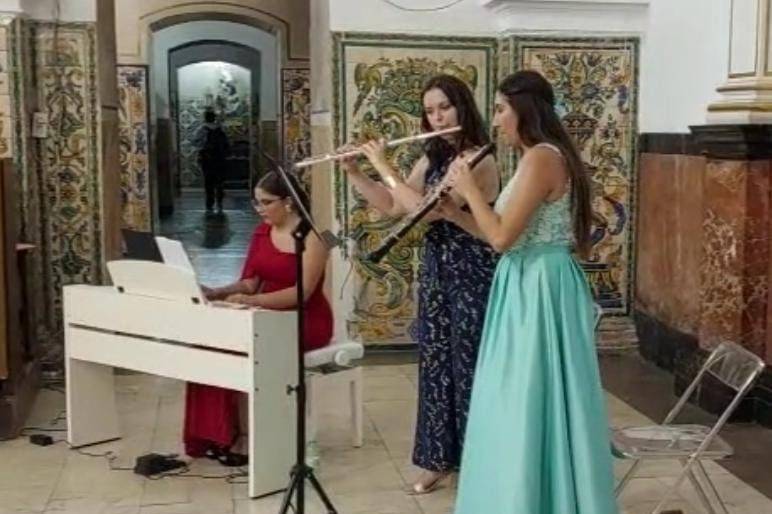 Bodas