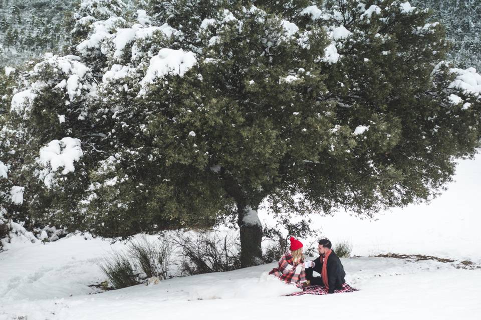 Postboda en la nieve