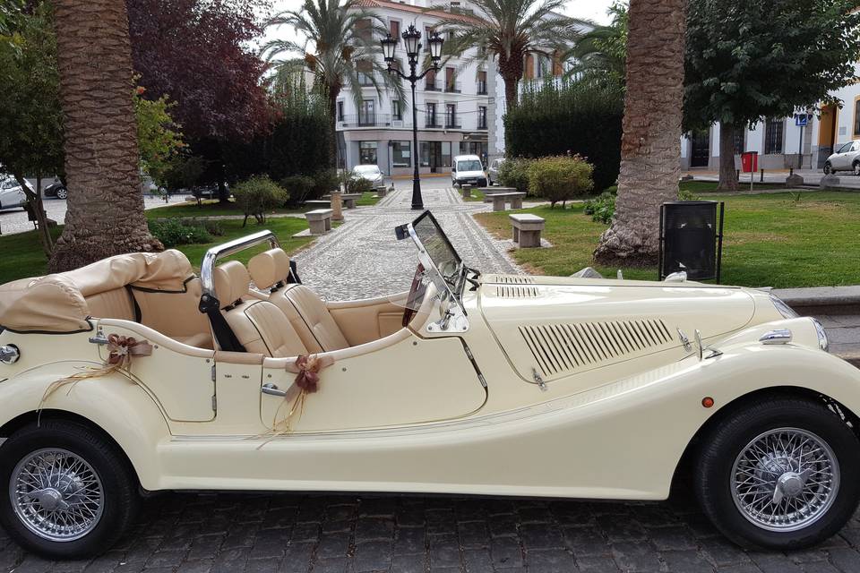 El Coche de mi Boda