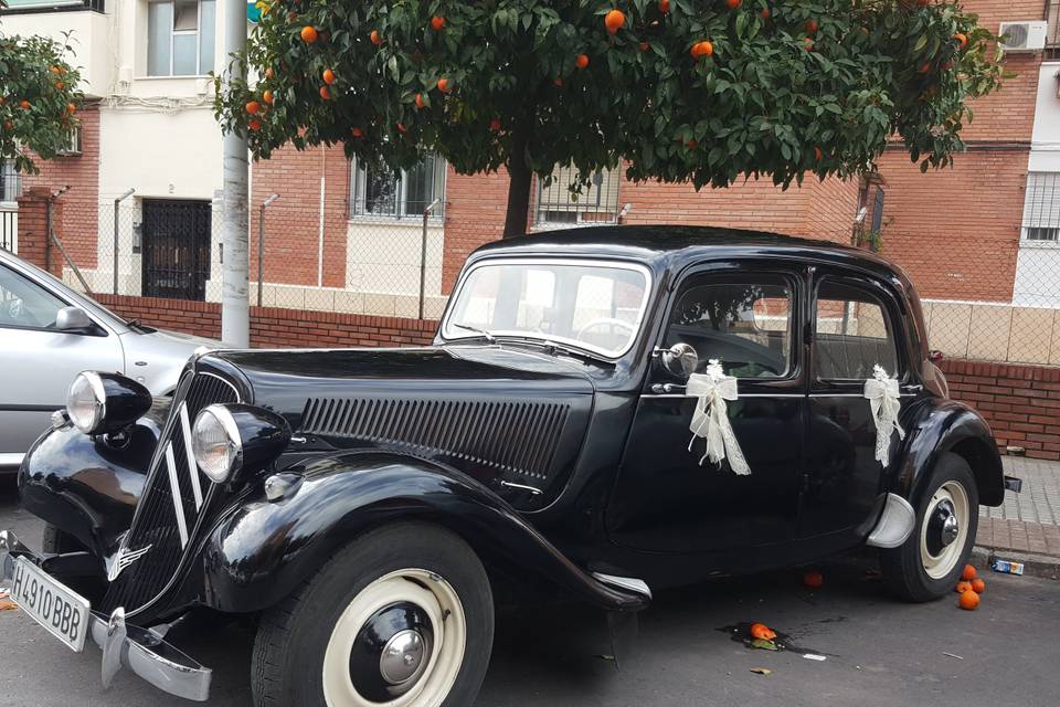 Citroen 11 negro