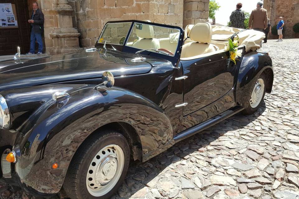 El Coche de mi Boda