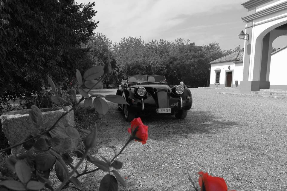 El Coche de mi Boda