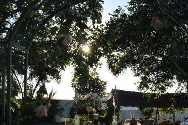 Entrada de boda en jardín