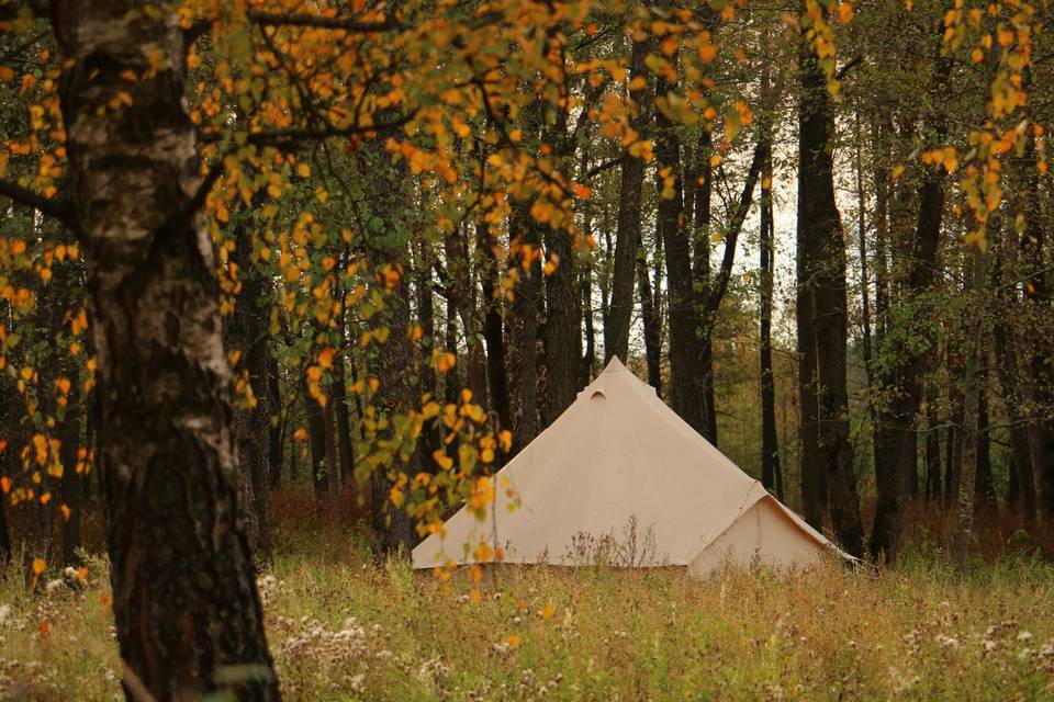 Tienda tipi