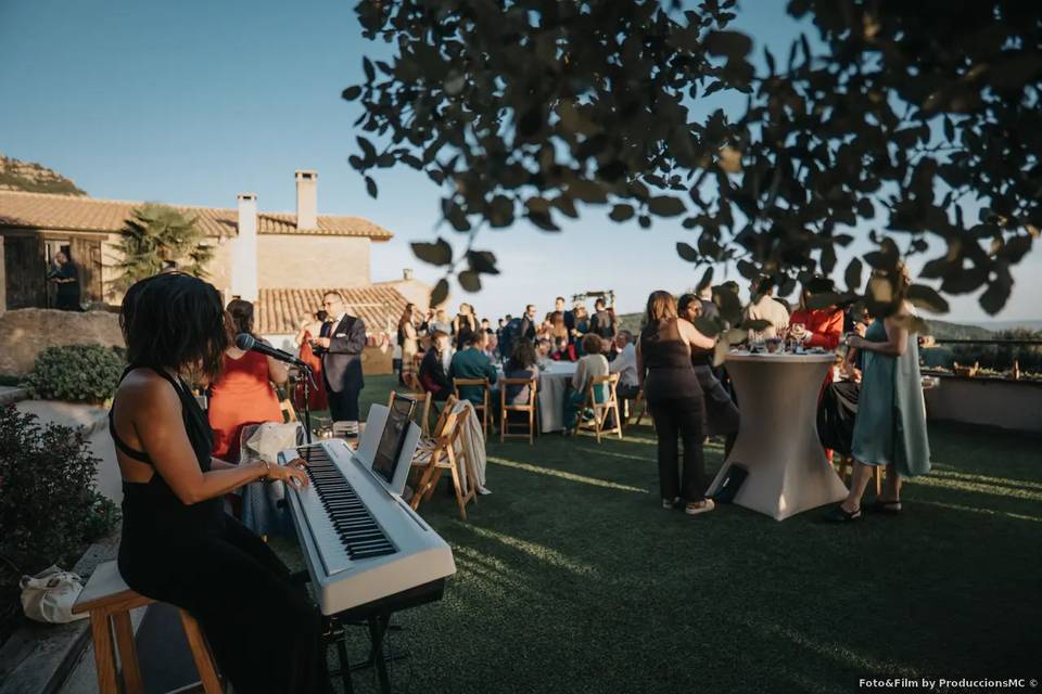 Aperitivos