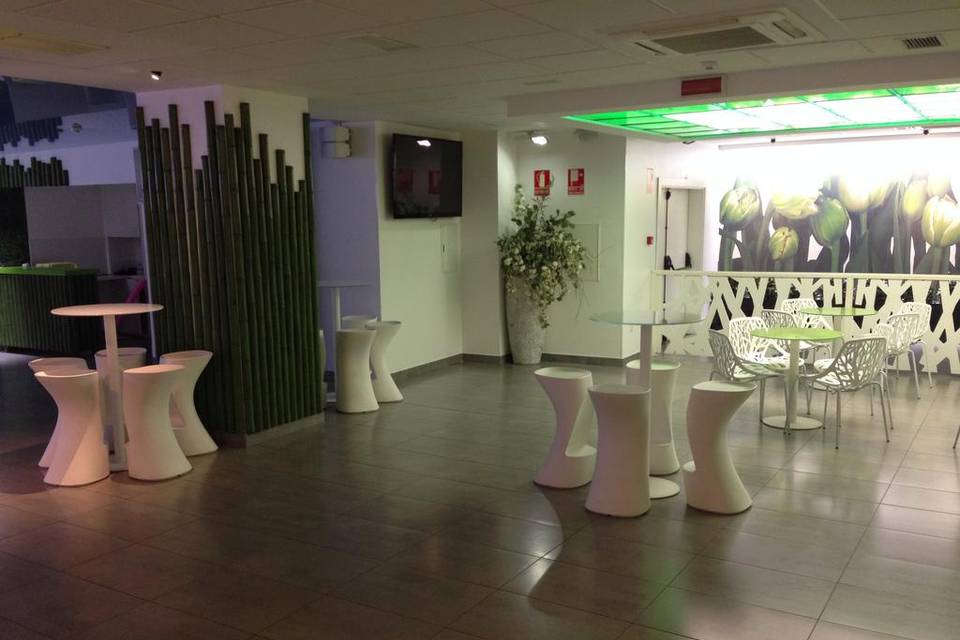 Baile Discoteca Nature