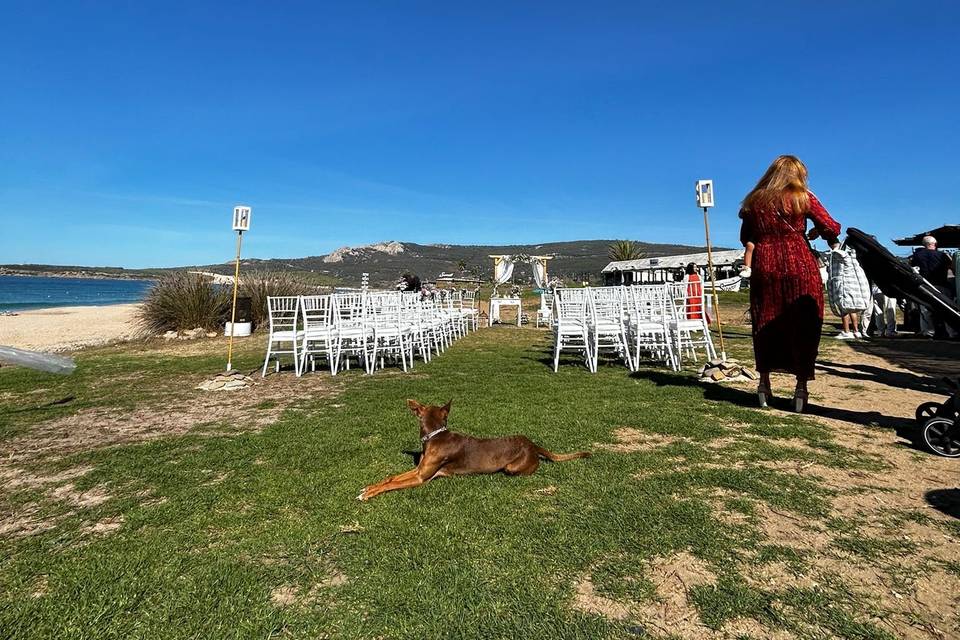 Boda en Serenade