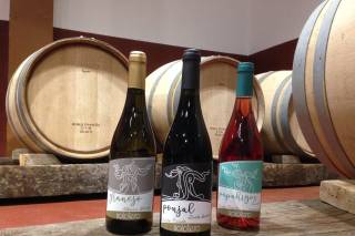 Solotero Bodega y Viñedos 1