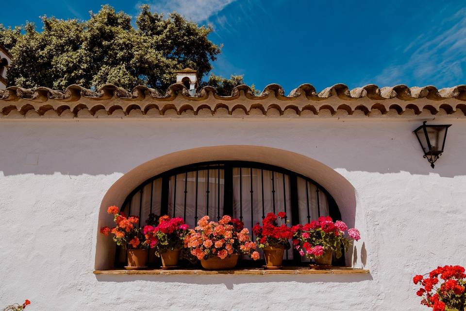 Detalle Patio