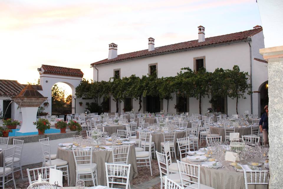 Aperitivos en el jardín