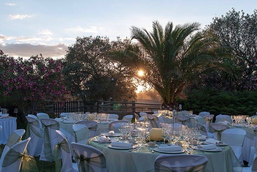 Cena en el jardín