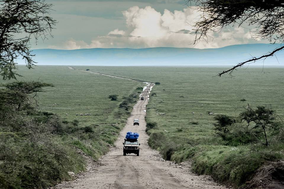 Entrada a Serengueti