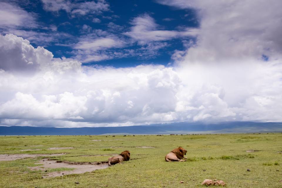 Crater de Ngorongoro