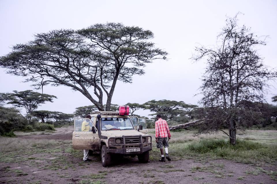 Gran Migración en Ndutu