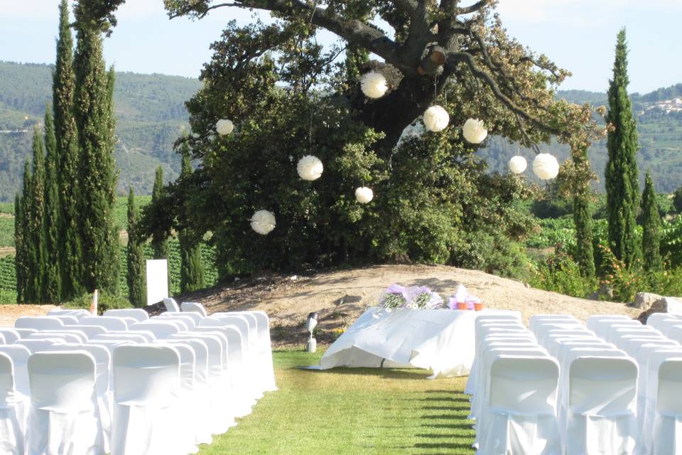 Boda en el jardín