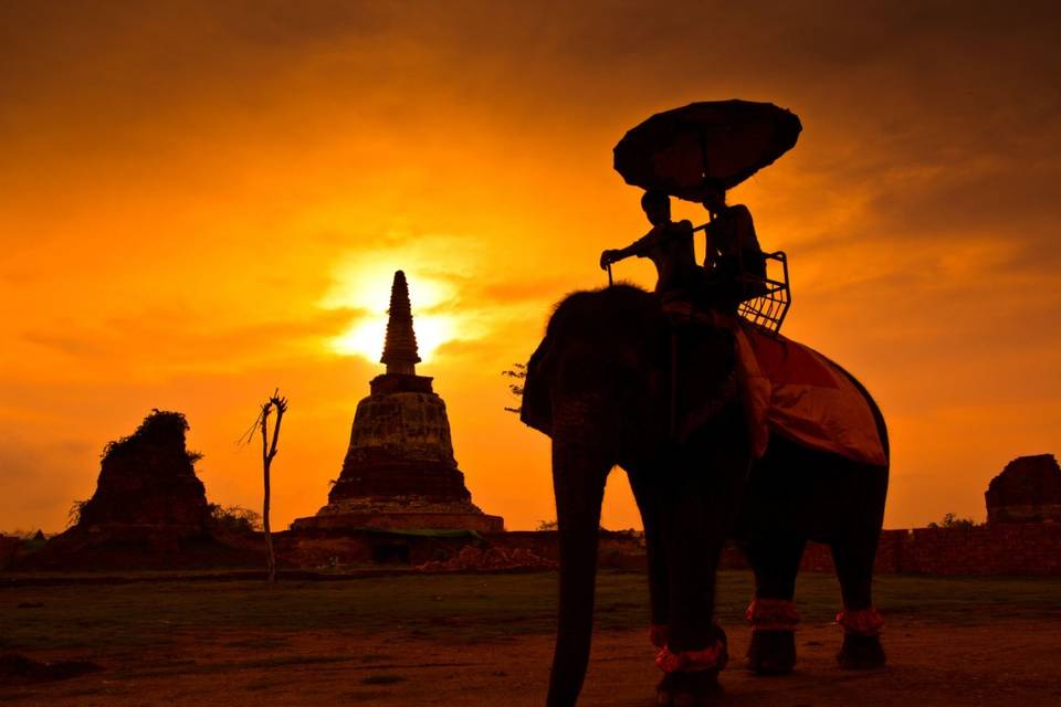 Tailandia, Paseo Elefante