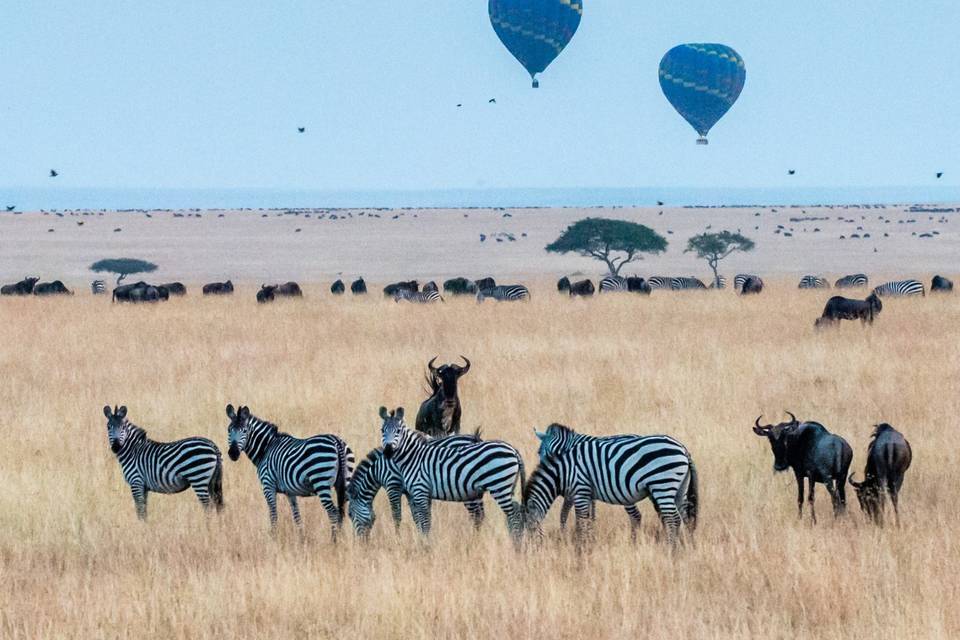 Kenya, Safari en Globo