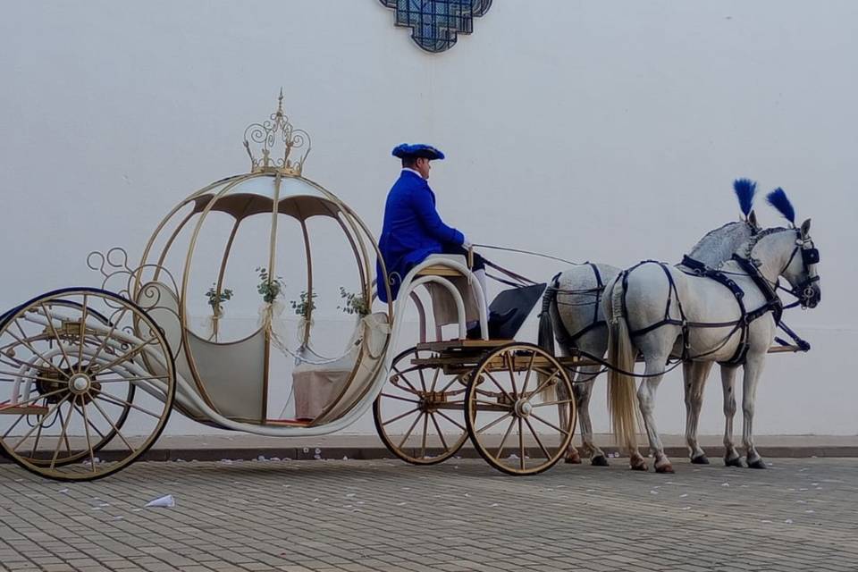 Coches de caballos JC