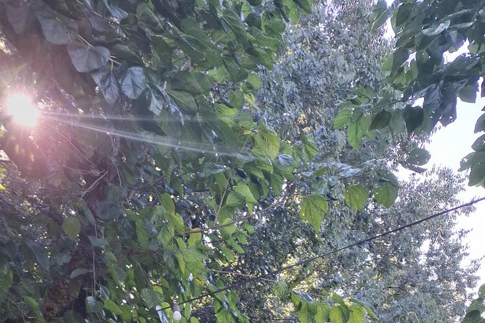 CERIMONIA JARDÍ