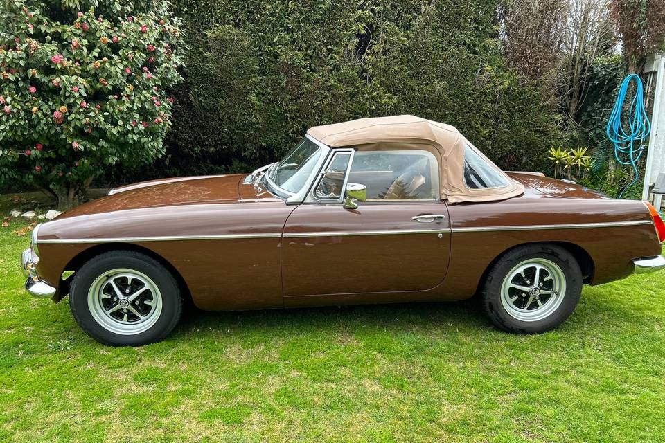 Mgb Marron