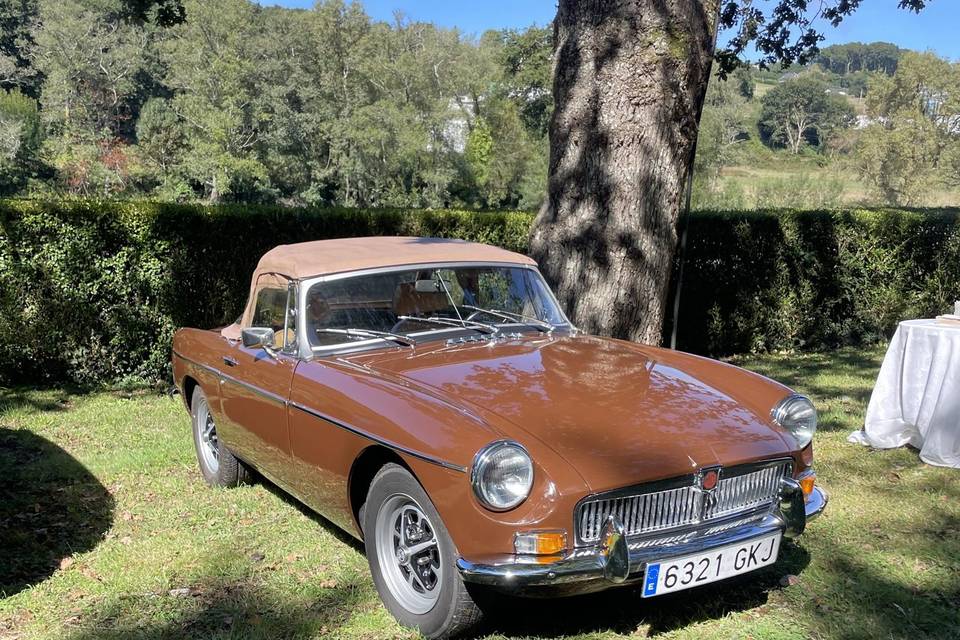 Mgb Marron