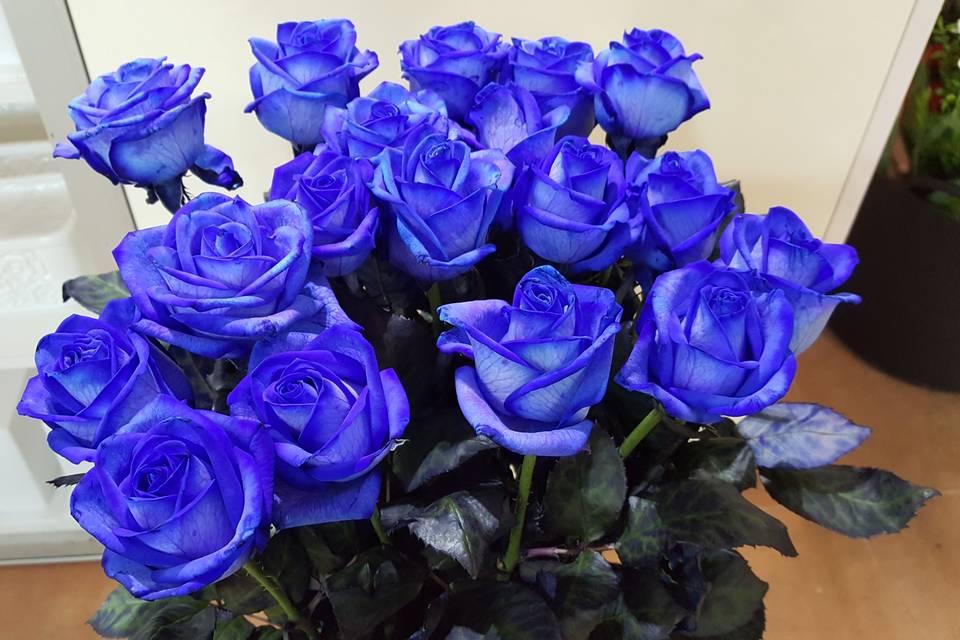 Rosas azules