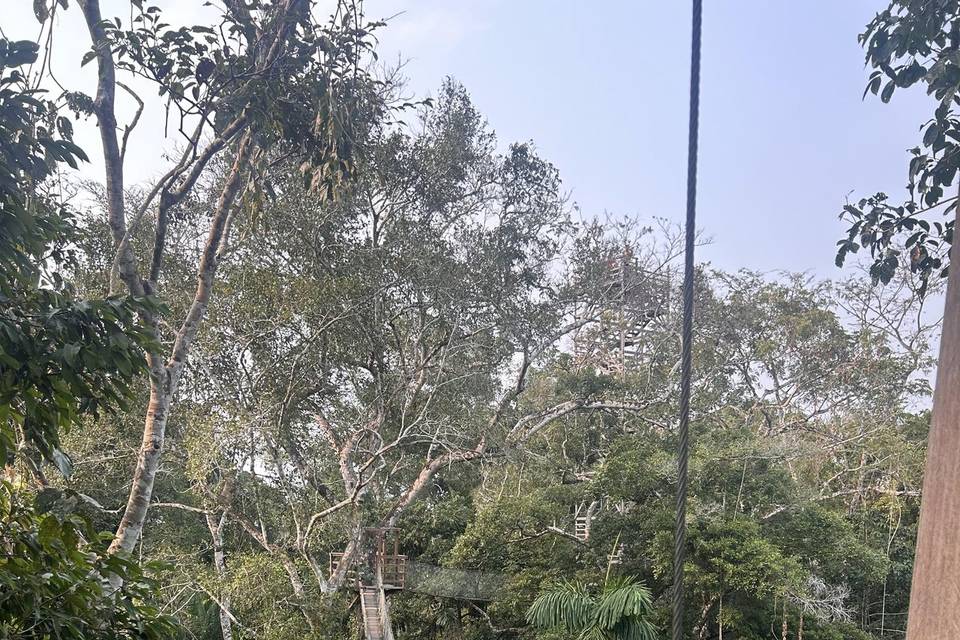 Canopy walk peru