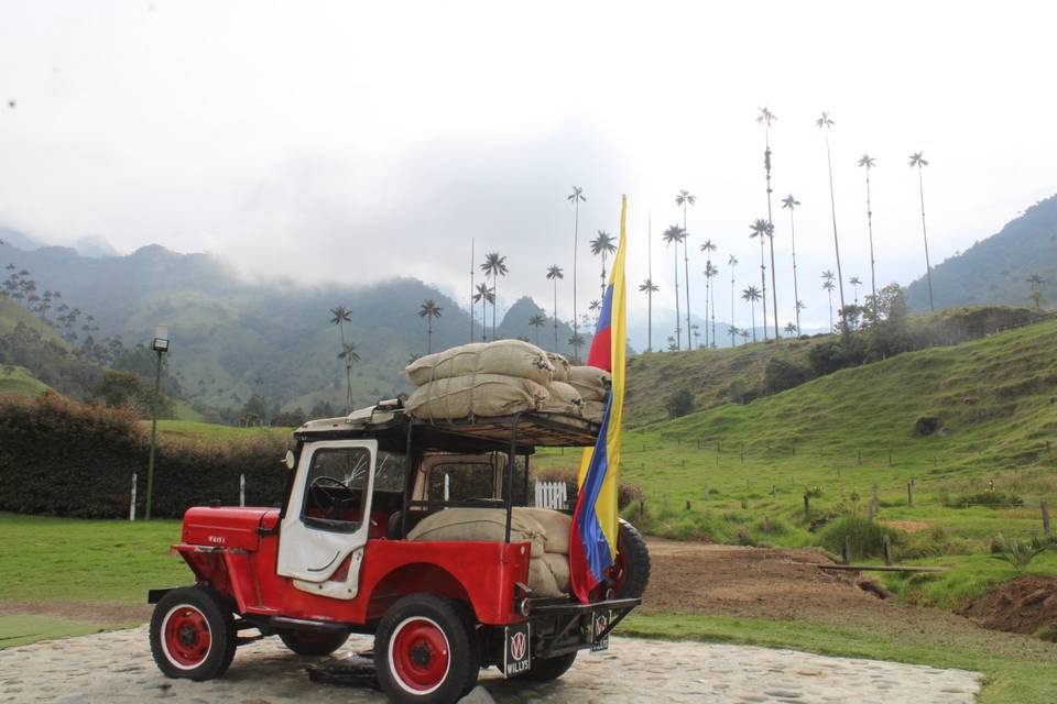 Valle del cocora