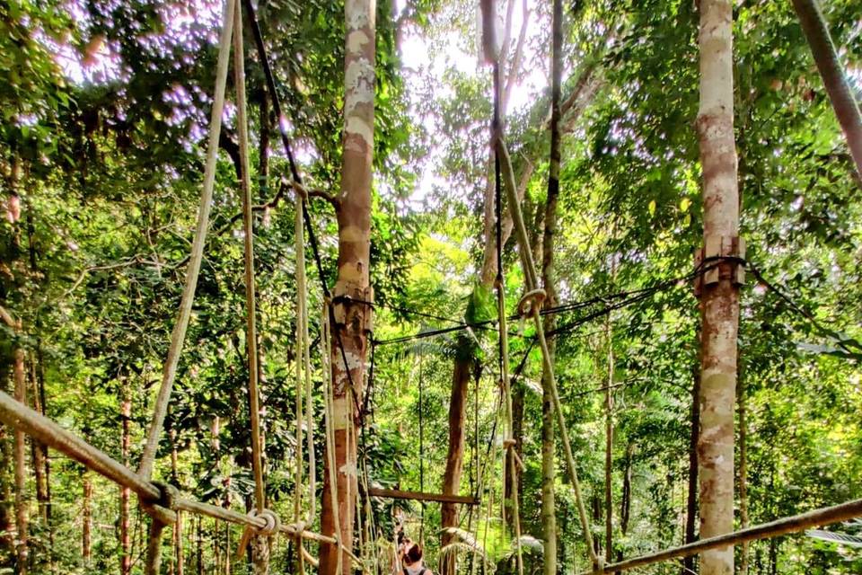 Selva de Taman Negara