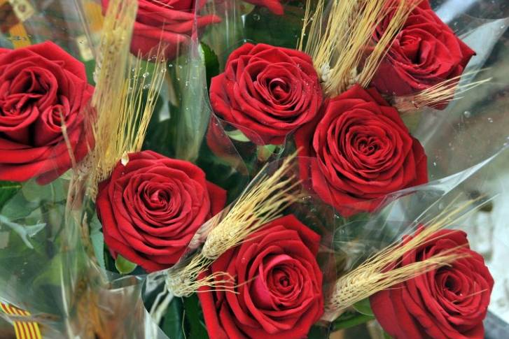 Rosas