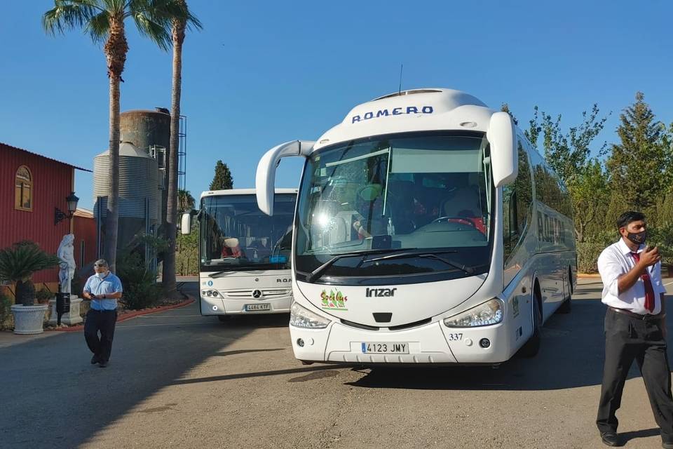 Buses llegando a Niebla