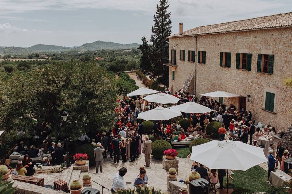 Aperitivo jardines