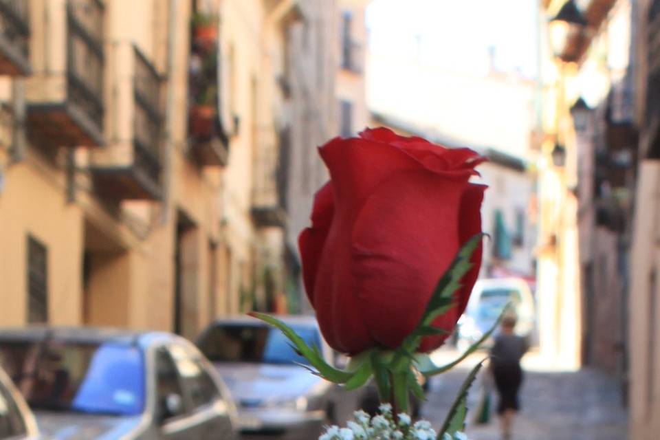 Detalle para las damas