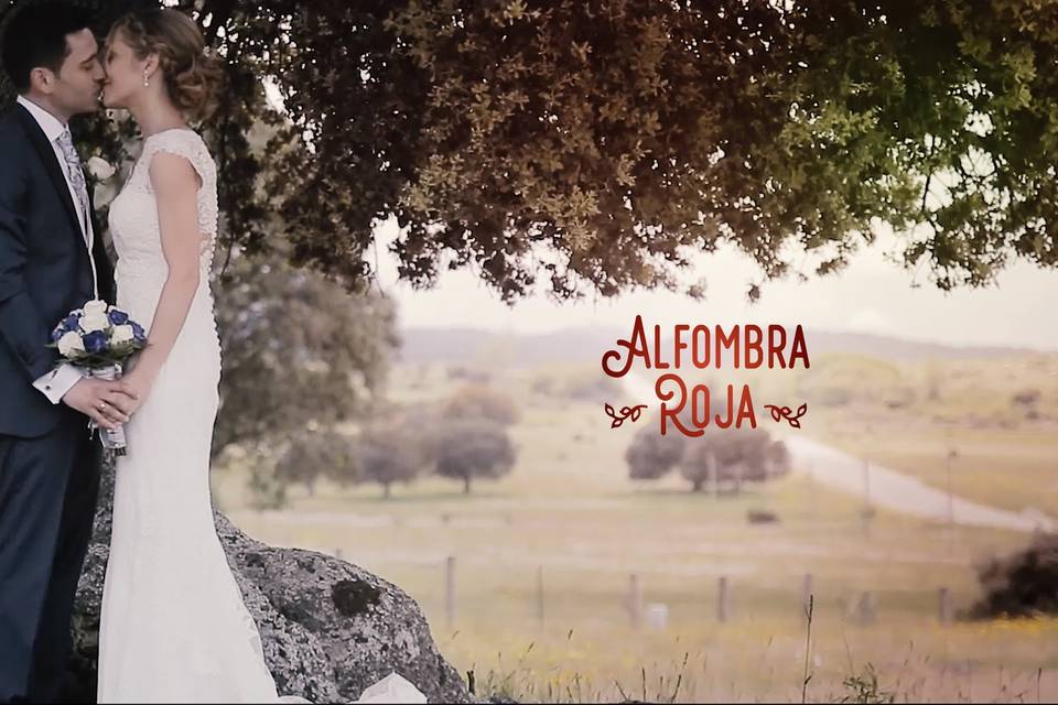 Alfombraroja video