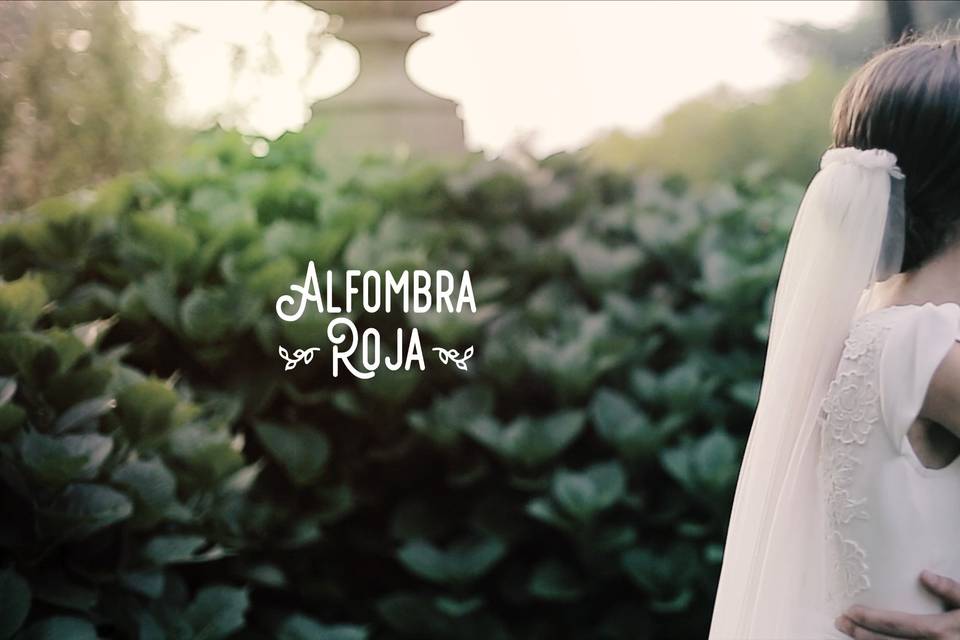 Alfombraroja video