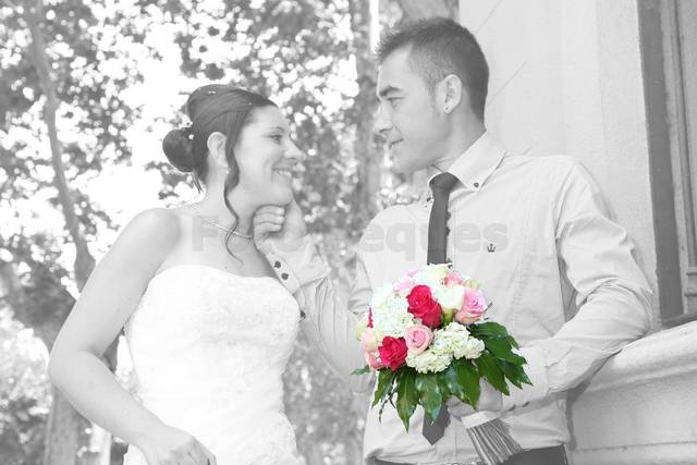 Novios