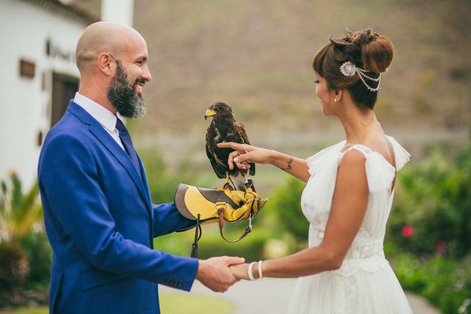 Ceremonia con halcón