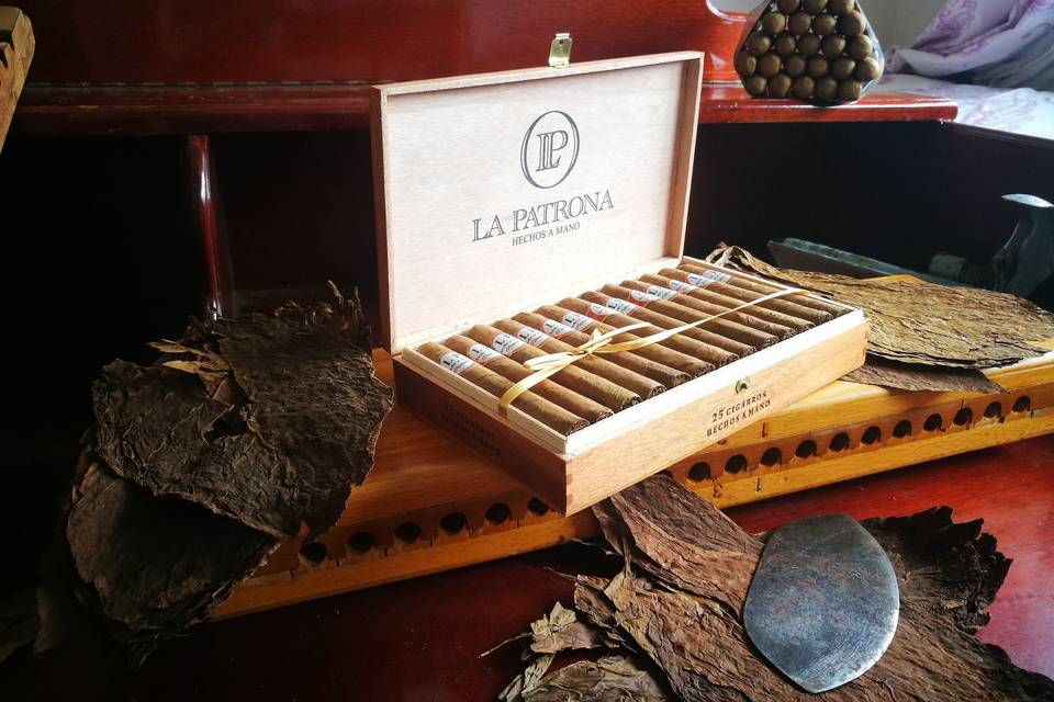 CAJA DE 10 ROBUSTOS · Puros Palmeros Artesanos Julio · Tabaco