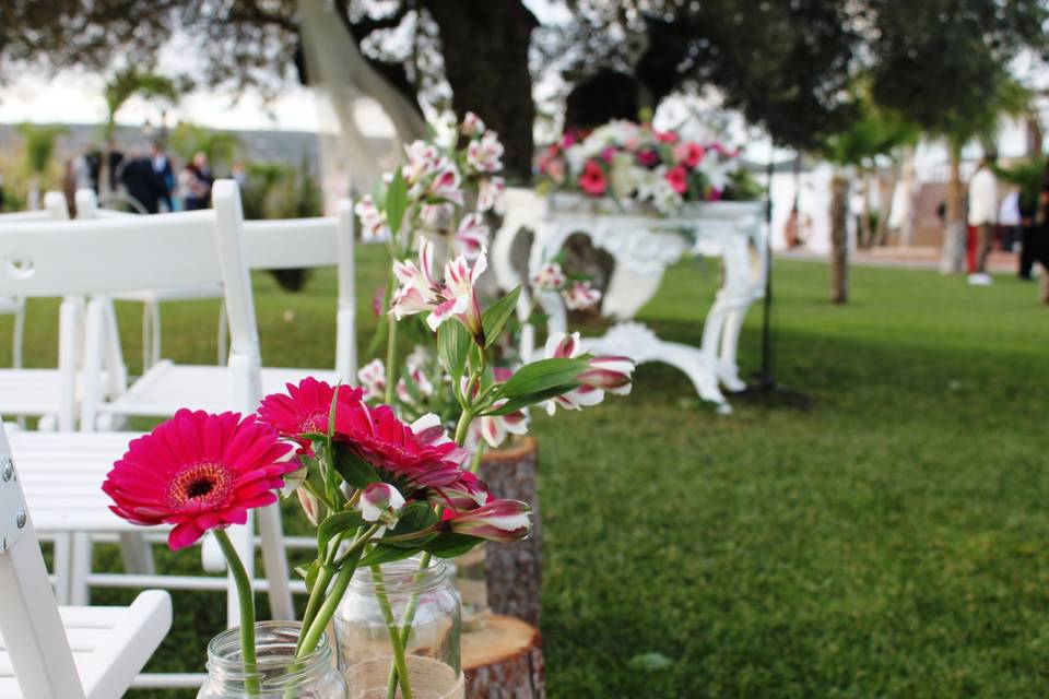 Ceremonia en el jardín y olivo