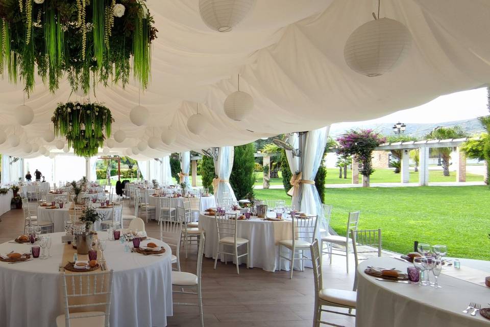 Carpa decorada