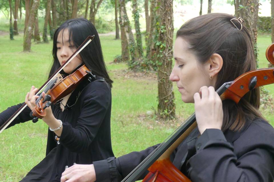 Dúo violín y violonchelo