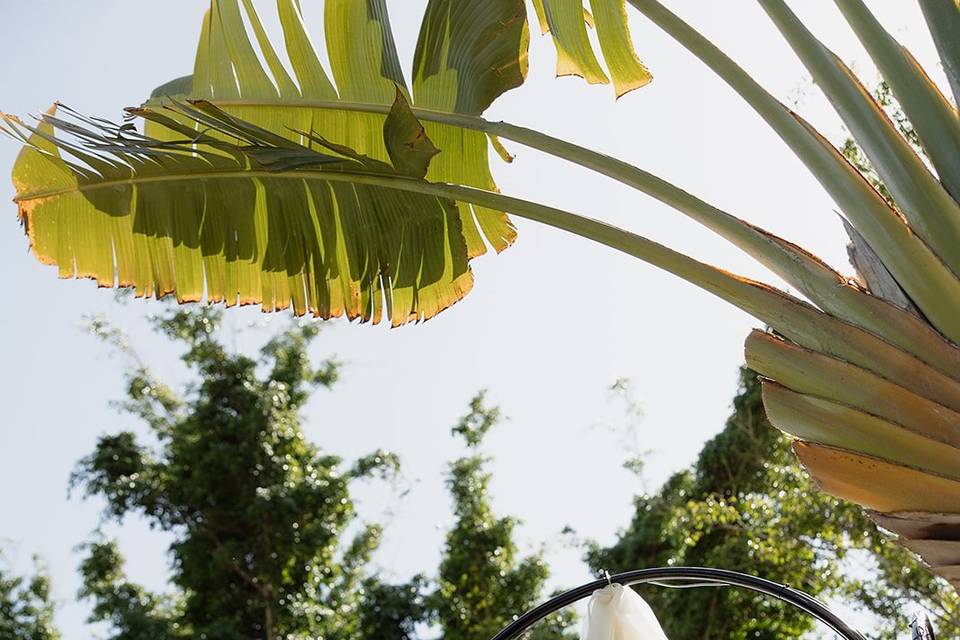 Cóctel - Jardín del Lago