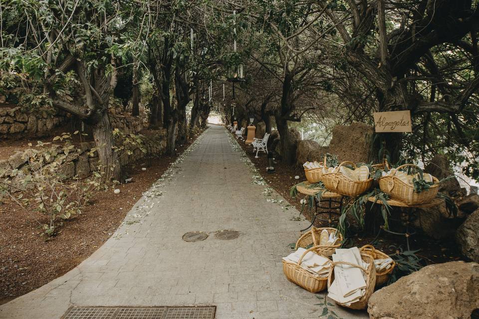 Paseo de Terebintos