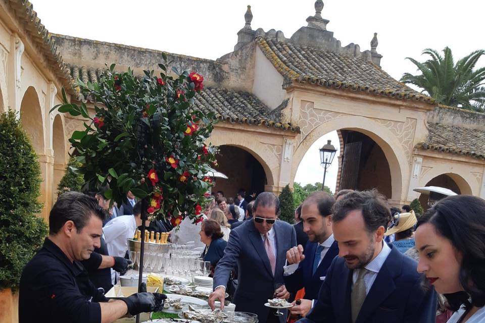 Catering de jamón ibérico