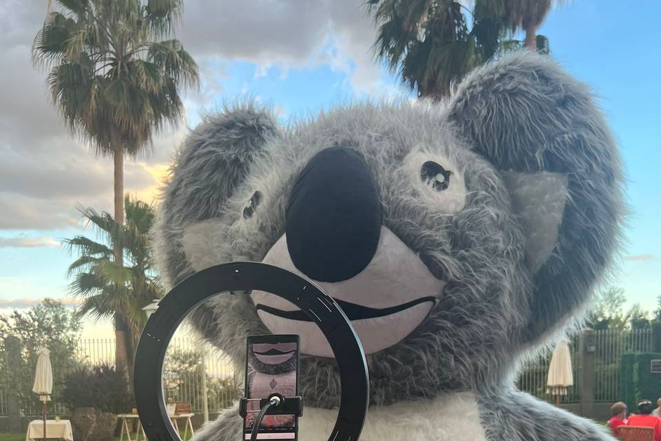 Koala XXL y plataforma 360º
