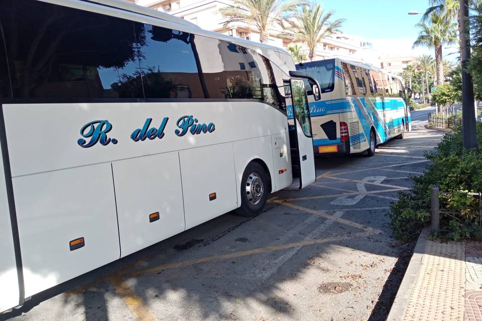 Autocar para bodas