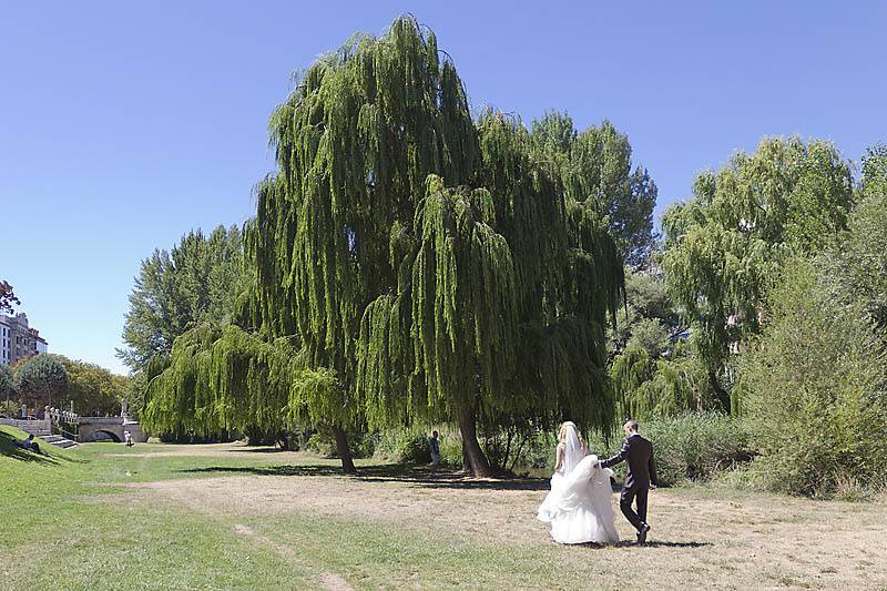 Salida de novios