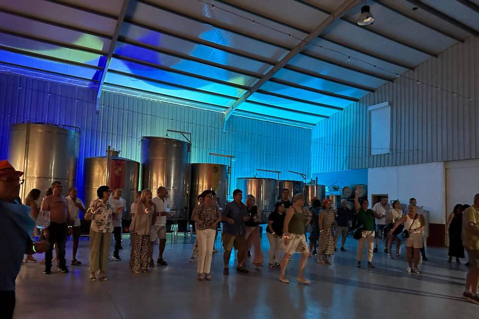 Bodegas Marcos interior