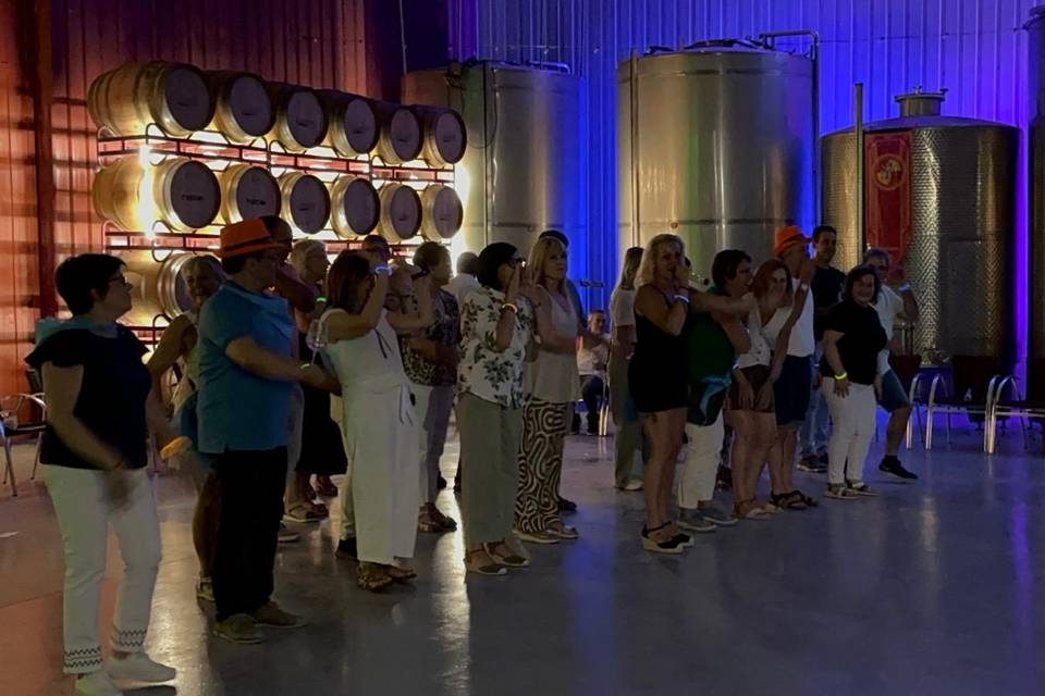 Bodegas Marcos interior