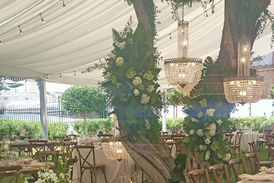 Jardín para eventos